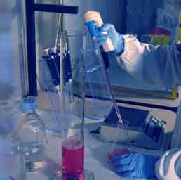 Ricerca scientifica